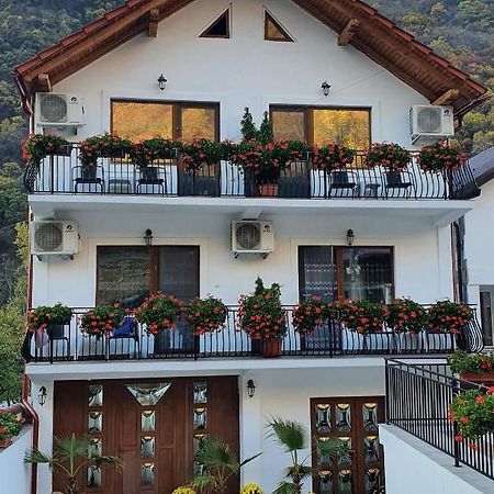 Casa Mimi Apartment Baile Herculane Bagian luar foto