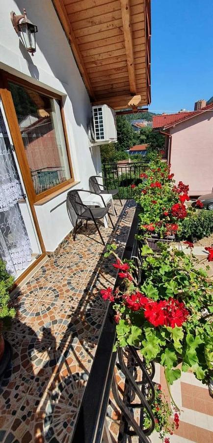 Casa Mimi Apartment Baile Herculane Bagian luar foto
