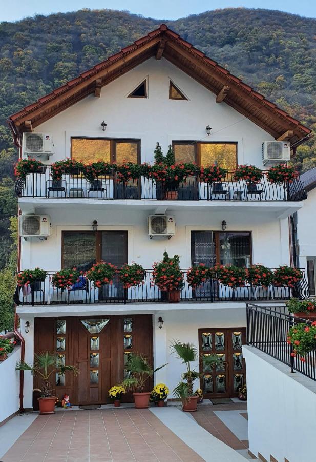 Casa Mimi Apartment Baile Herculane Bagian luar foto